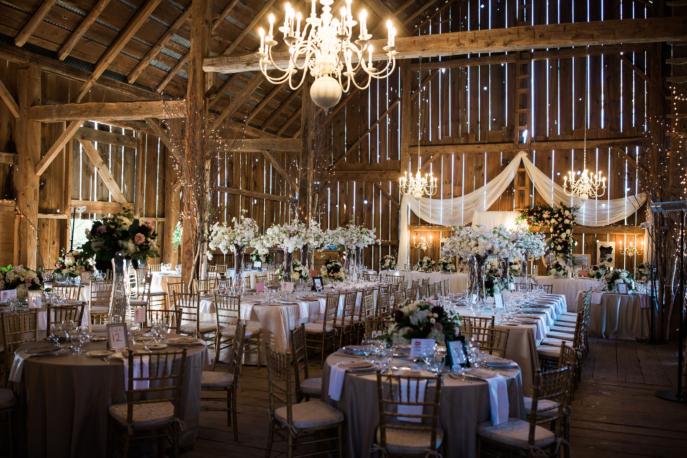 Stunning picture of decor in Century Barn Wedding.