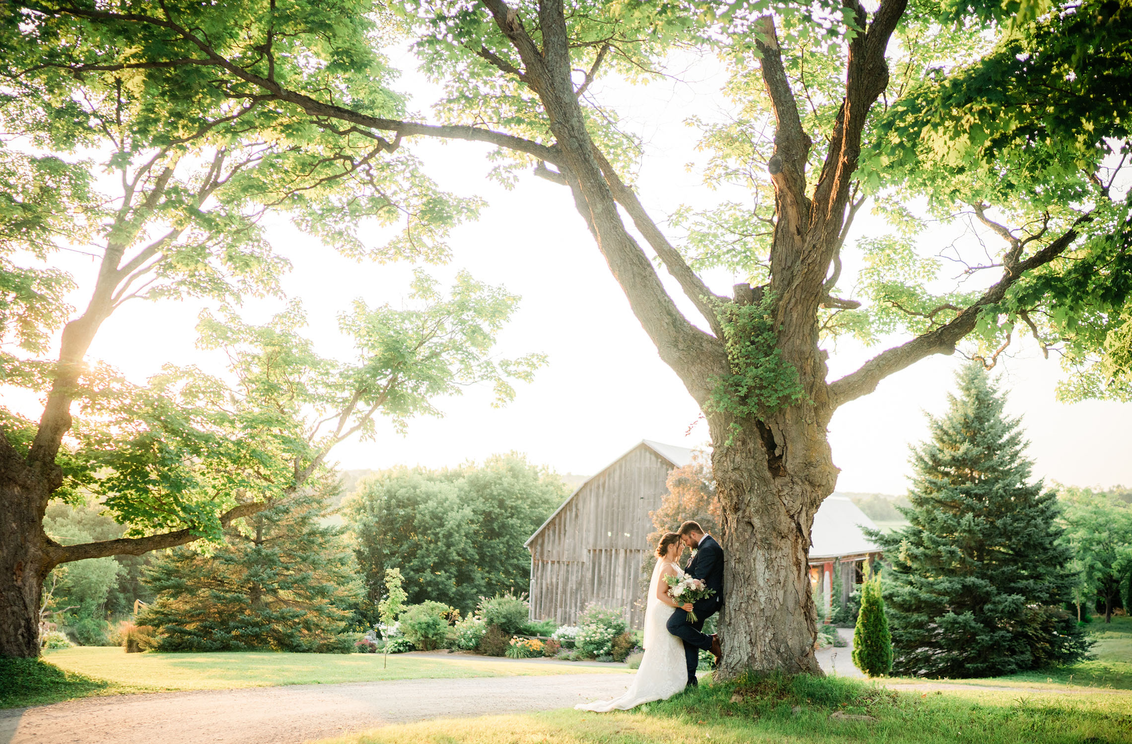 Wedding Barn at Century Barn weddings