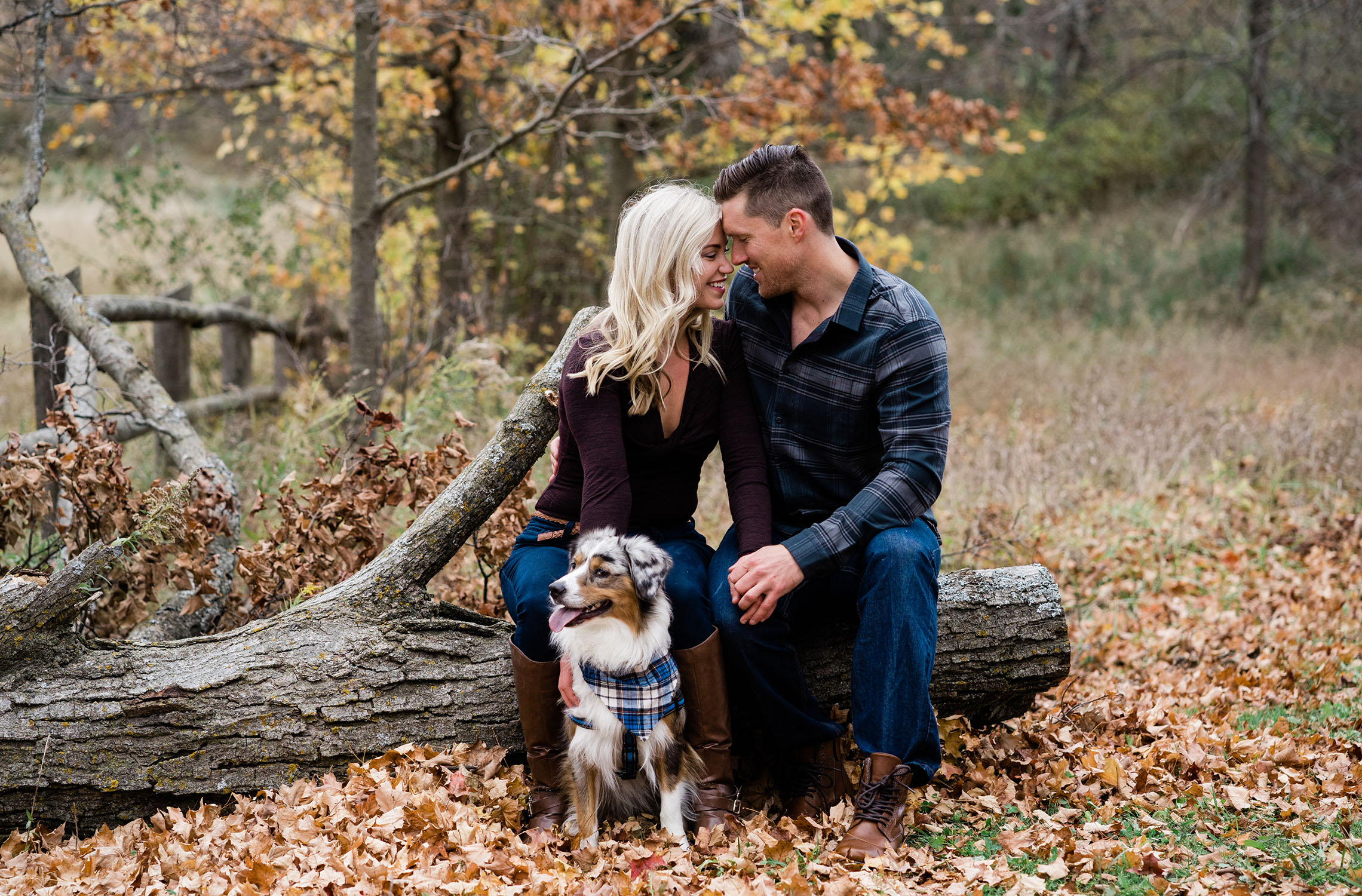 Fall engagement shoot with dog