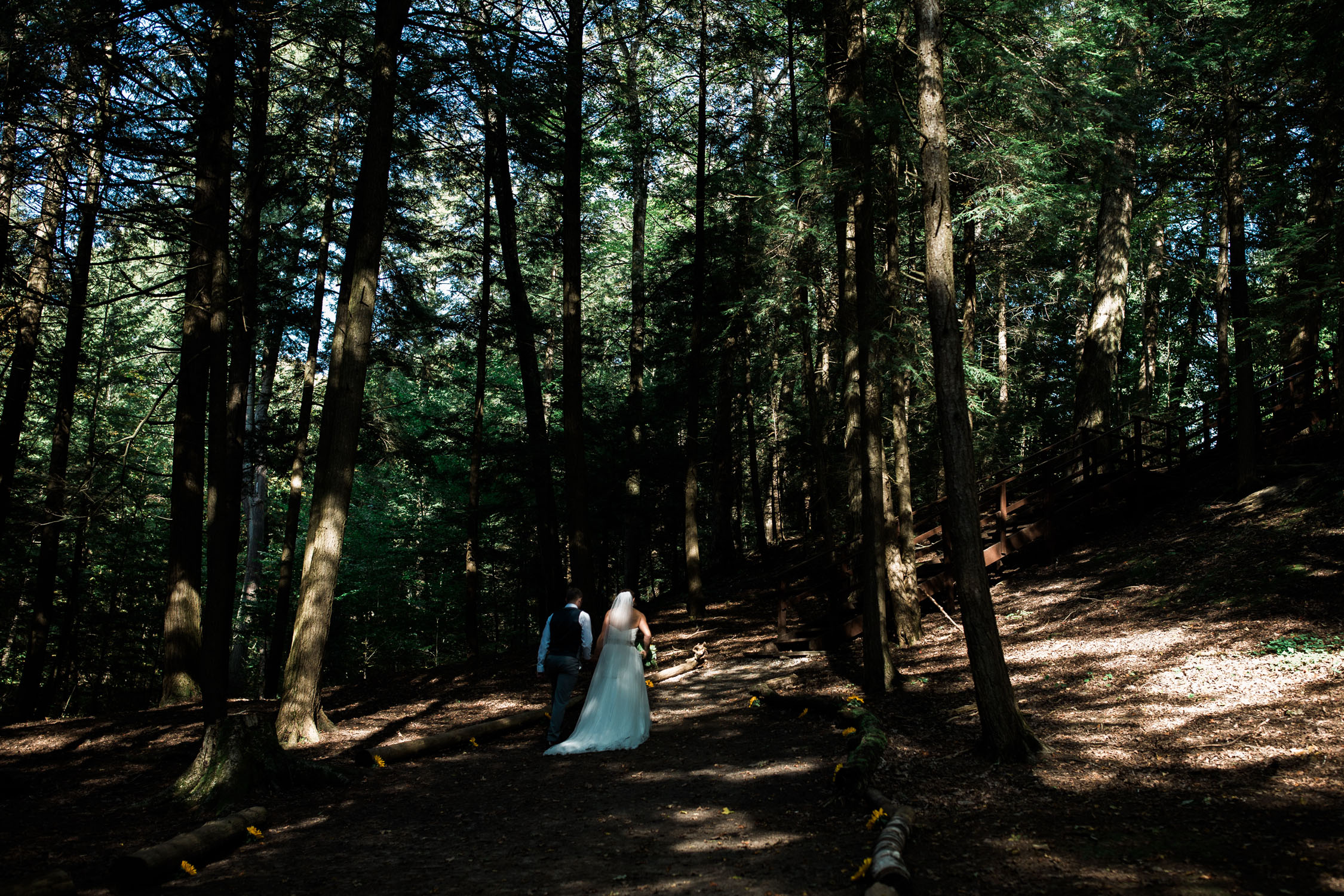 Newly married couple walking hand and hand through the forest.