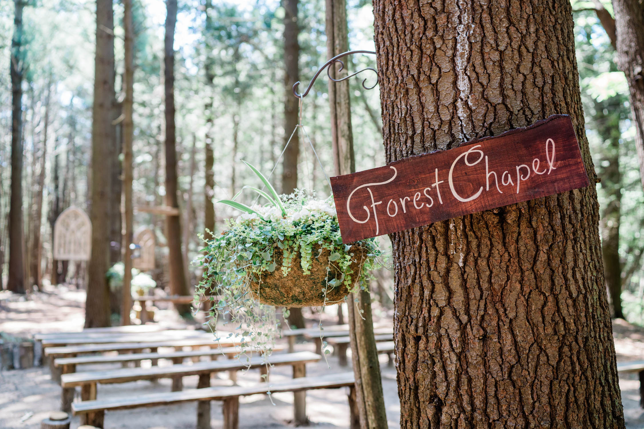 Whispering Springs secret forest Chapel.