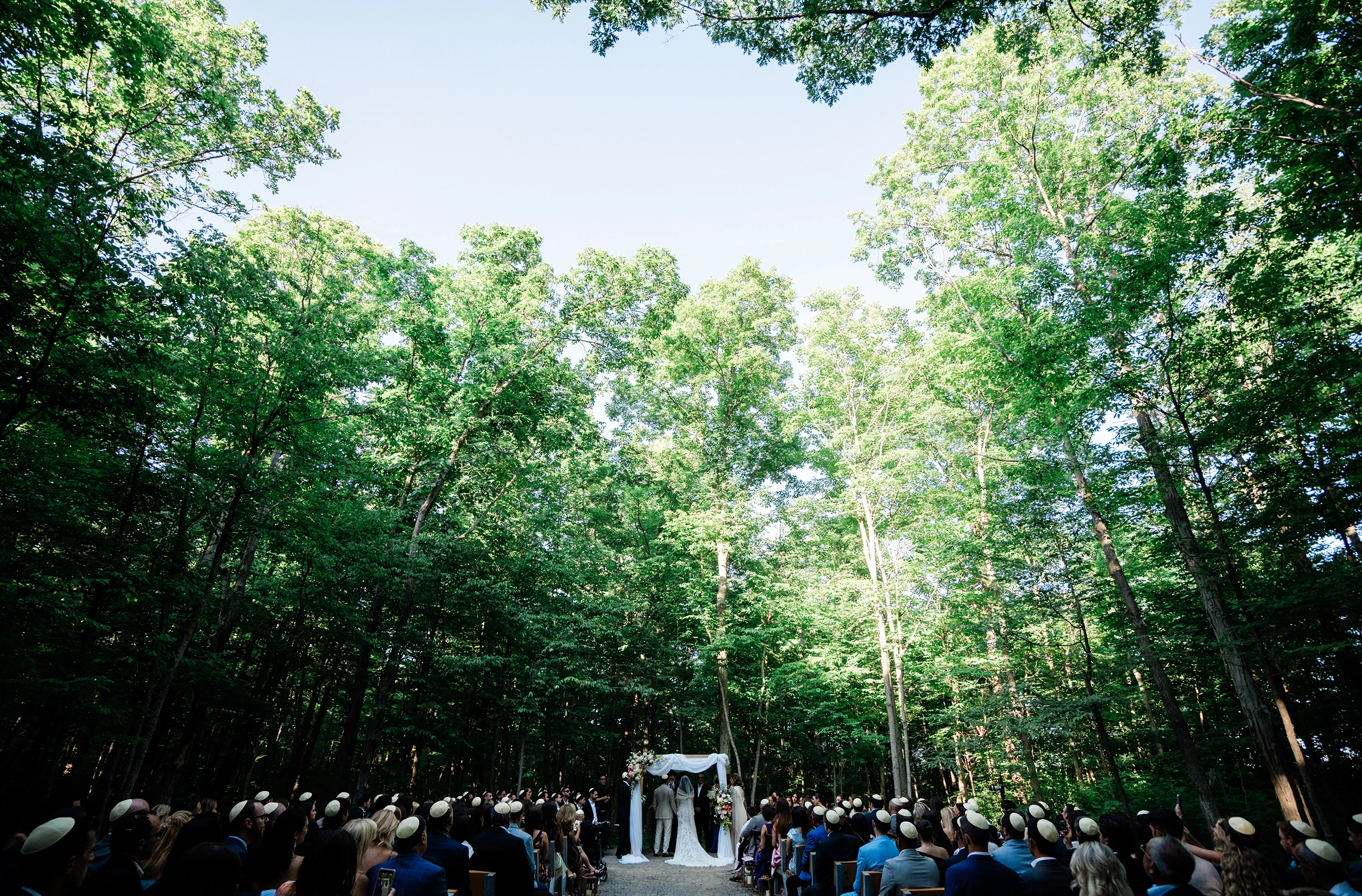 Compass Rose wedding photographer capturing vows under the trees at Compass Rose Suites.