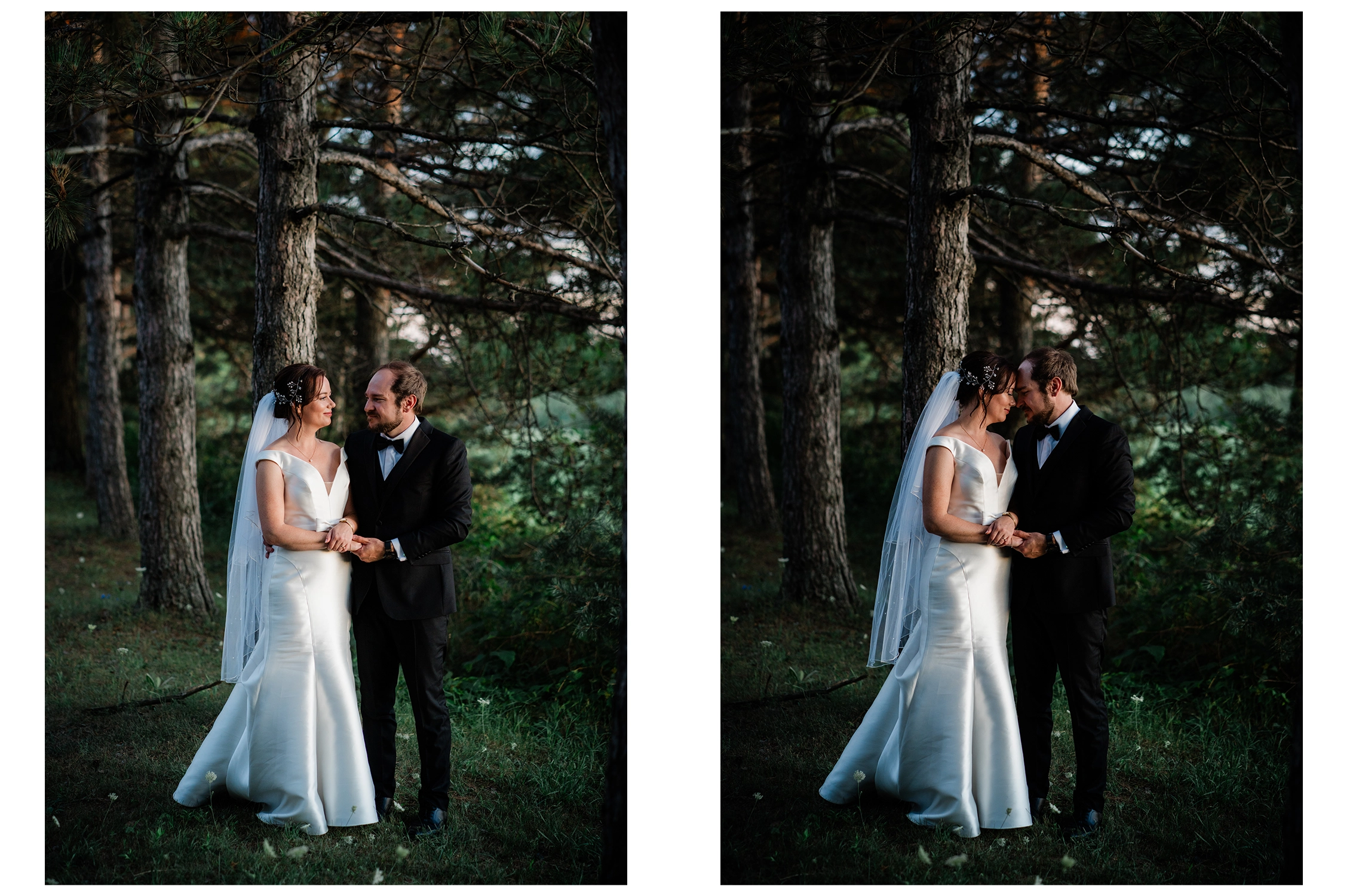 Side-by-side portraits of a couple among pine trees at Trail Hub in Ajax Ontario, soft evening light